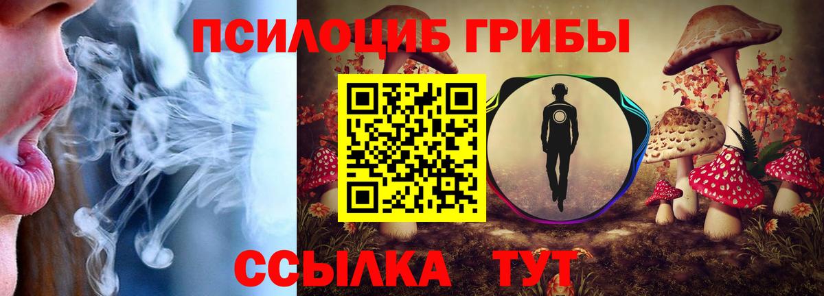 Галлюциногенные грибы Cubensis  цена наркотик  Новочебоксарск  Вход с VPN 